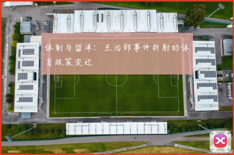 体制与留洋：王治郅事件折射的体育政策变迁