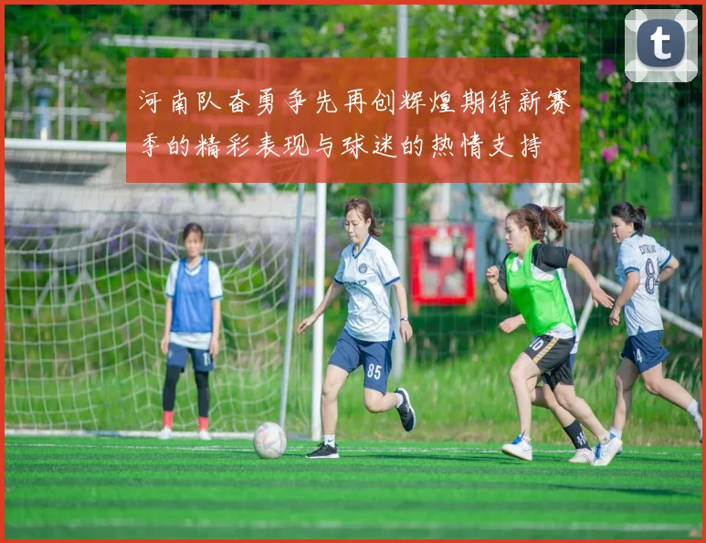 河南队奋勇争先再创辉煌期待新赛季的精彩表现与球迷的热情支持