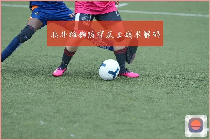 北非雄狮防守反击战术解码