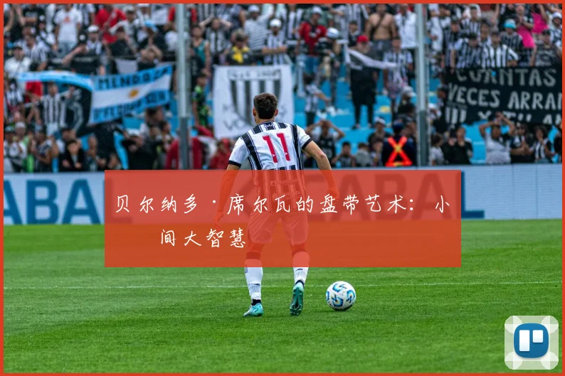 贝尔纳多·席尔瓦的盘带艺术：小空间大智慧