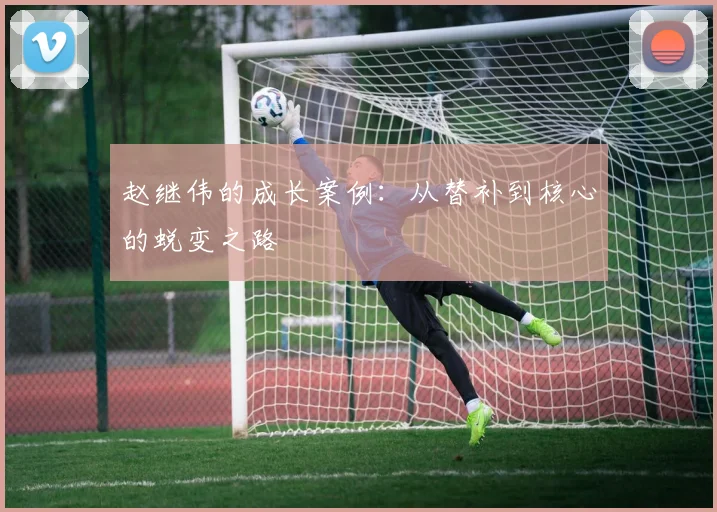 赵继伟的成长案例：从替补到核心的蜕变之路