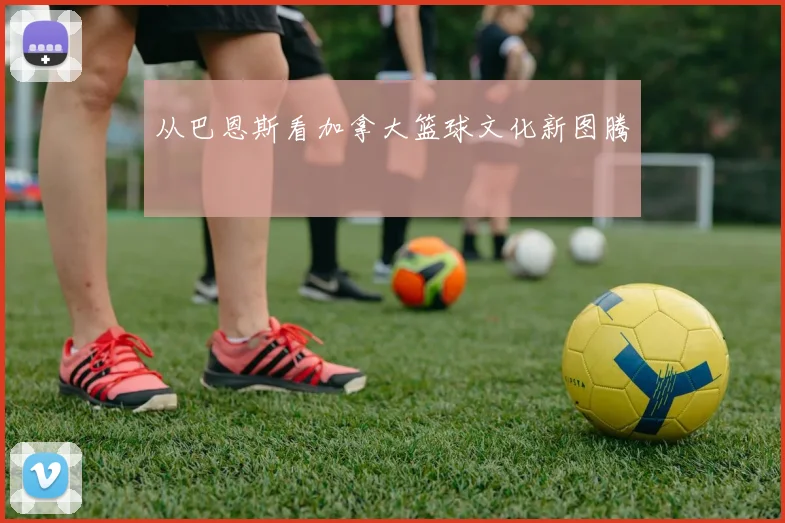 从巴恩斯看加拿大篮球文化新图腾